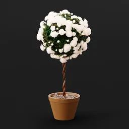 Rose Bush Standardised White