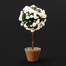 Rose Bush Standardised White