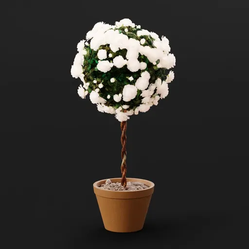 Rose Bush White