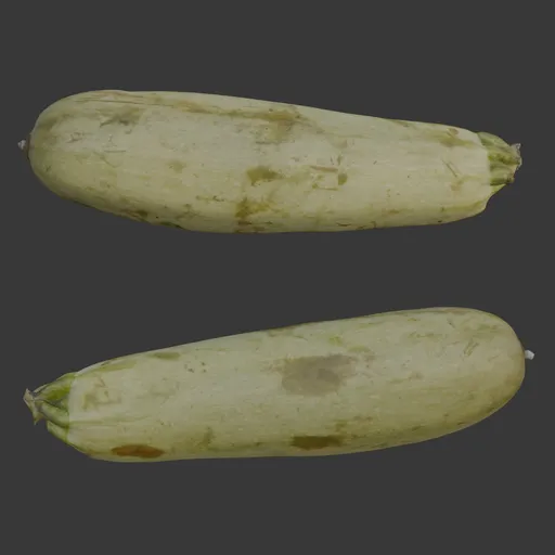 Zucchini scan