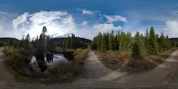 Dirt Road in Canadian Nature