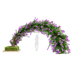 Climbing Roses Garden Bow Grow Purpel