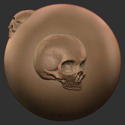 Skull Left Profile