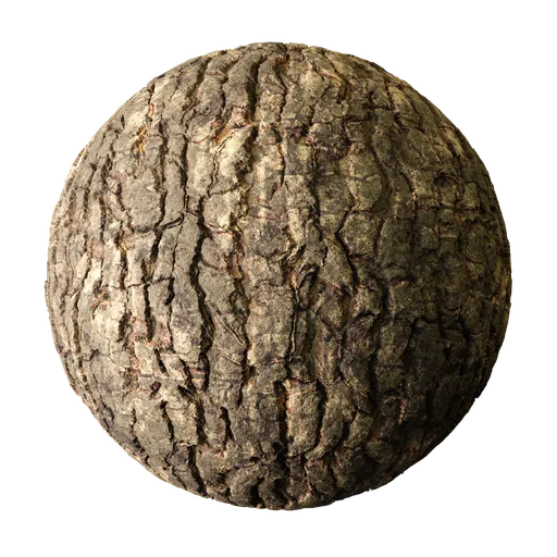 Tree Bark