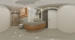 Luxury Modern Bathroom Interior