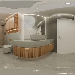 Luxury Modern Bathroom Interior