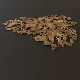 Debris Dry Leaves