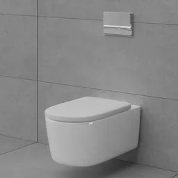Toilet (Wall Hung Toilet)