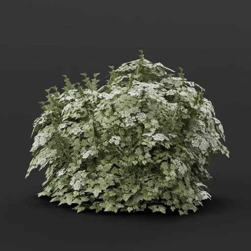 Large Cranberry Bush 3D Model for Blender, high-detail foliage for game development and architectural visualization