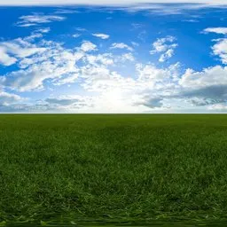 Green grass cloudy blue sky pure sky