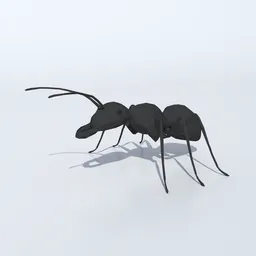 Low Poly Ant