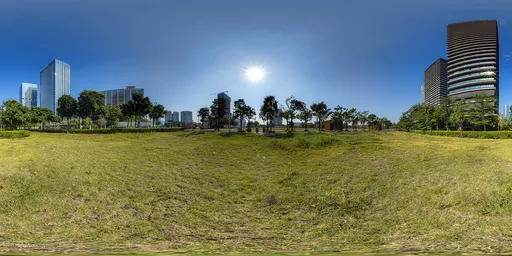 Sunny grass