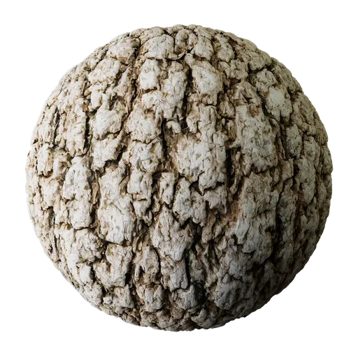 Tree Bark