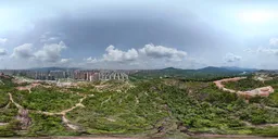 Highsky green forest