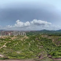 Highsky green forest