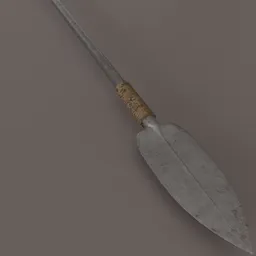 Roman spear