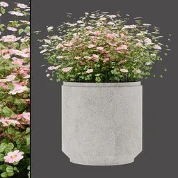 Pink Flora Planter