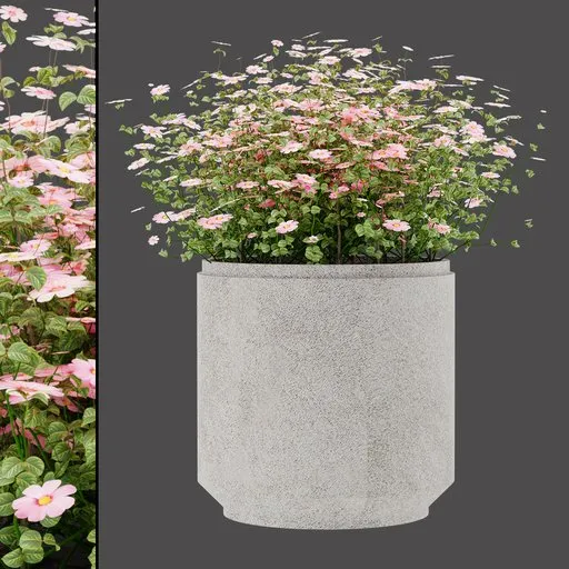 Pink Flora Planter