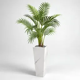 Modern Areca Palm in Tall Square Planter