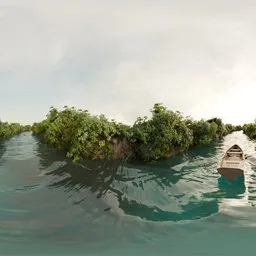 Mangrove river boat