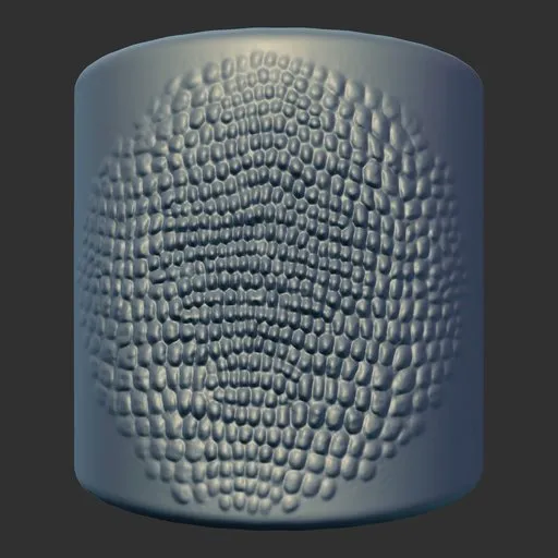 ER_Dragon Scale 301