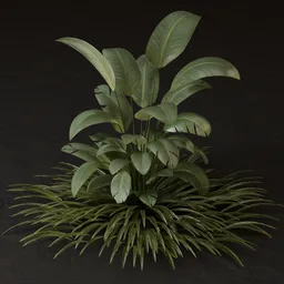 SJ-Detailed Exterior Landscape Plant