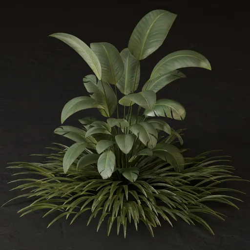 SJ-Detailed Exterior Landscape Plant