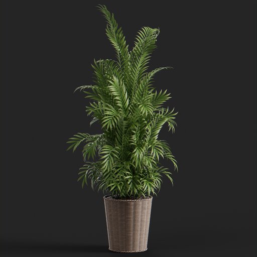 Thumbnail: Glasha plant