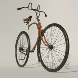 Vintage Bicycle – Old City Style