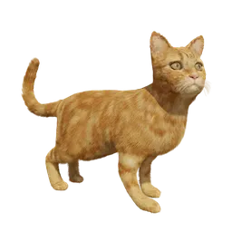 Ginger Cat (rigged with IK)