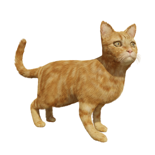 Ginger Cat (rigged, optional hair)