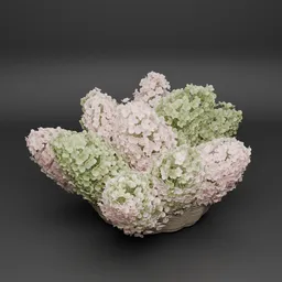 Hydrangea Basket