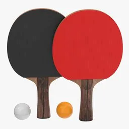 Ping Pong Paddle