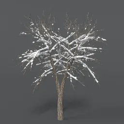 Tree With Snow