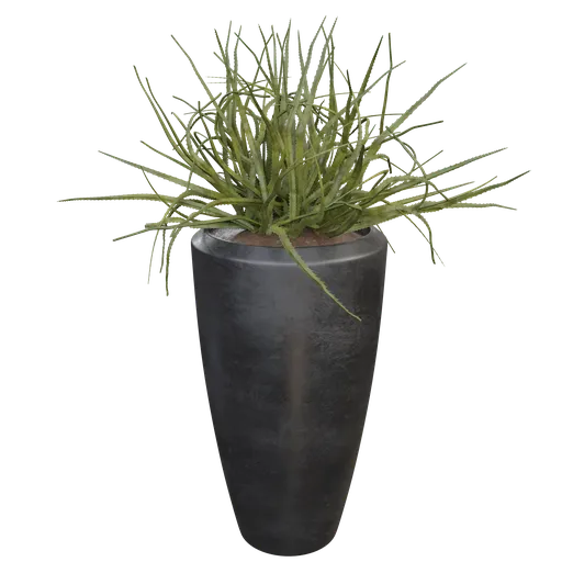 Realistic 3D cactus model in a modern pot, Blender cycles-ready, high-detail indoor nature asset.