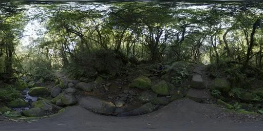 Mossy Forest