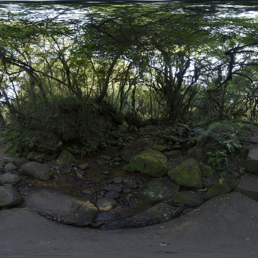 Mossy Forest