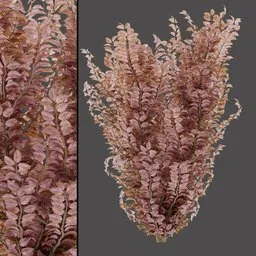 Pink Decorative Stems