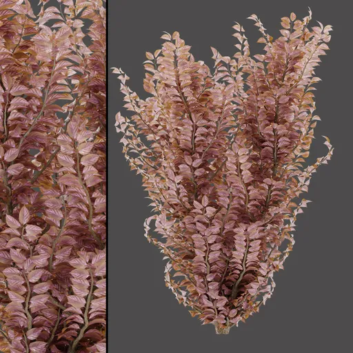 Pink Decorative Stems