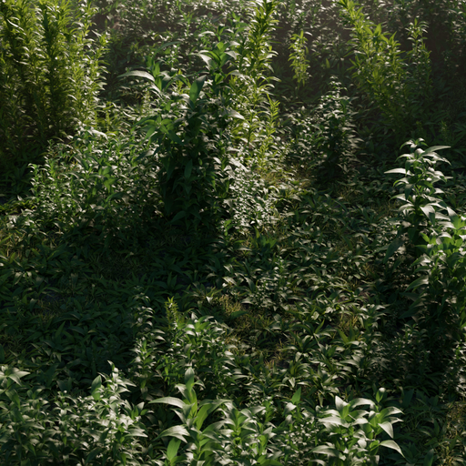 Thumbnail: Plants