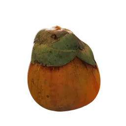 Borassus flabellifer Fruit