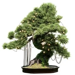 Christmas bonsai A