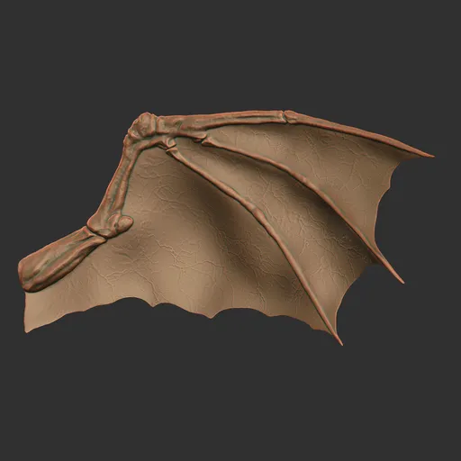 Heavy Dragon Wing