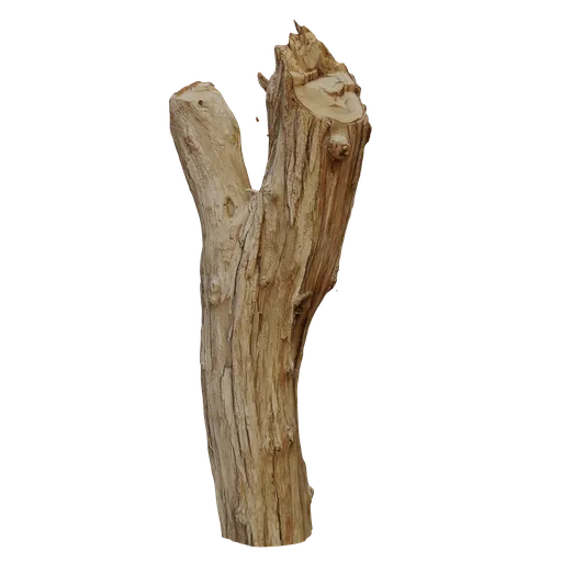 Highly detailed split tree trunk 3D model with realistic textures, ideal for Blender nature scenes.