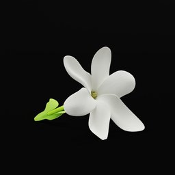 Tiare Flower