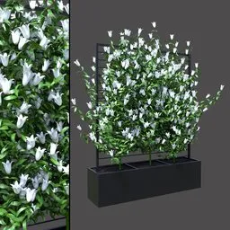 White Vine Screen