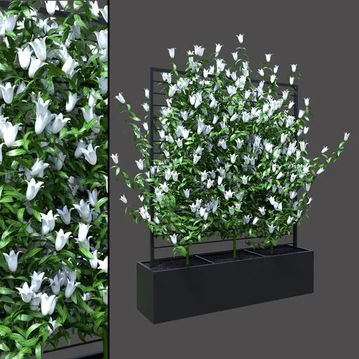 White Vine Screen