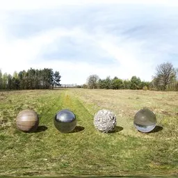 Forest clearing, 14k, full EV range