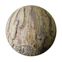 Tree bark