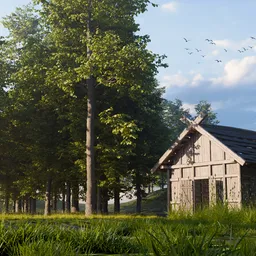 Forest Cabin Environment animation